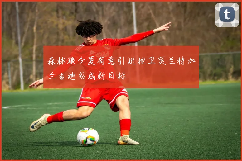 森林狼今夏有意引进控卫莫兰特加兰吉迪或成新目标